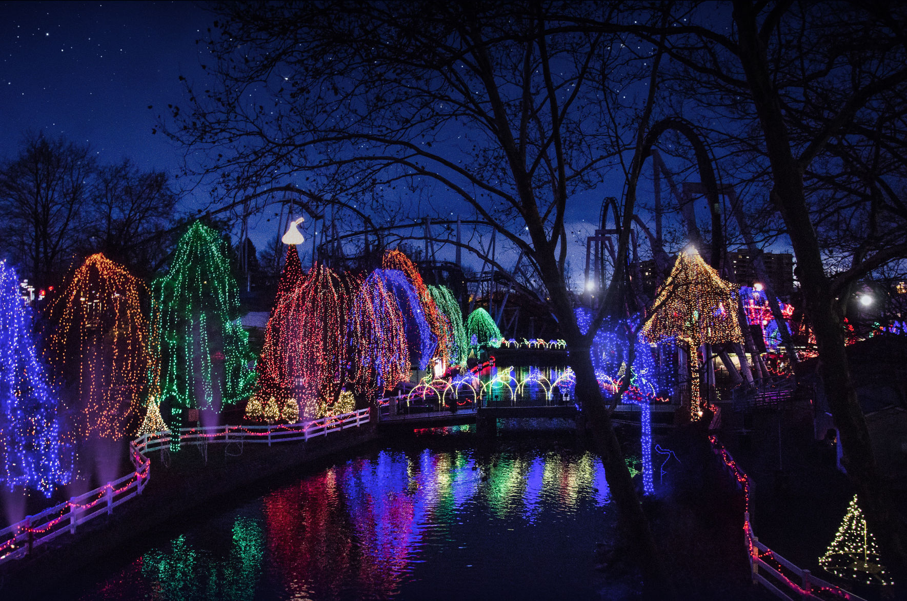 n14 EL Christmas Candylane - NOEL Light Show 2.jpg